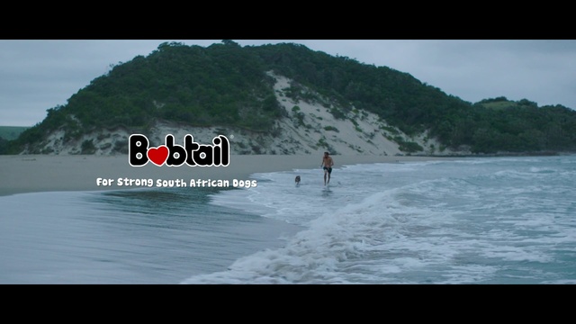 Video Reference: Wave, Boardsport, Water, Surface water sports, Tide, Wind wave, Surfing, Coast, Sea, Ocean
