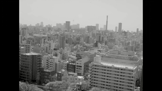 Video Reference: metropolitan area, cityscape, urban area, skyline, city, skyscraper, metropolis, black and white, landmark, monochrome photography