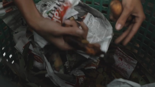 Video Reference: arm, animal source foods