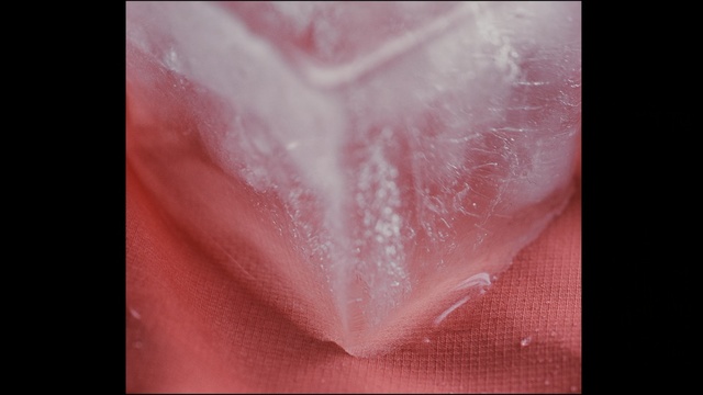 Video Reference: Pink, Close-up, Textile, Peach, Petal, Flesh, Person