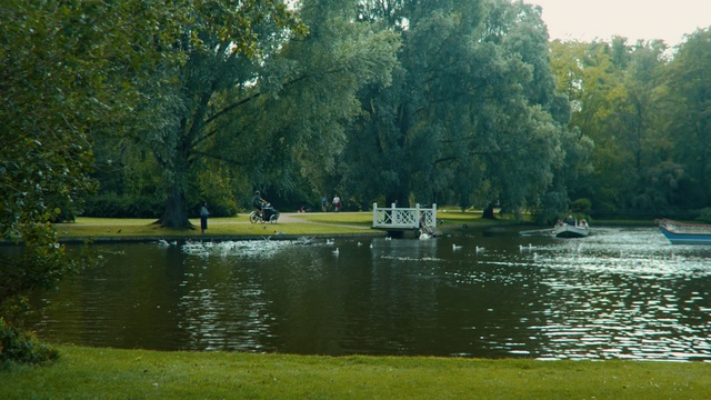 Video Reference: Body of water, Nature, Bank, Natural landscape, Lake, Pond, River, Natural environment, Nature reserve, Waterway, Outdoor, Grass, Water, Small, Tree, Sitting, Green, Boat, Yellow, Large, Man, Park, Field, Body, Forest, Parked, People, Bench, Driving, White, Dog, Group, Train, Riding, Bus, Standing, Watercraft
