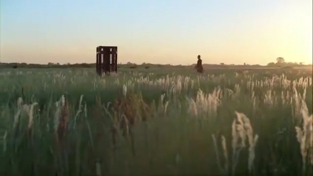 Video Reference: Grassland, Prairie, Nature, Field, Natural environment, Atmospheric phenomenon, Grass, Plain, Steppe, Morning