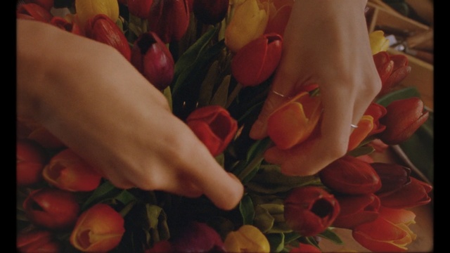 Video Reference: Petal, Flower, Rose, Bouquet, Plant, Garden roses, Still life photography, Floral design, Floristry, Flower Arranging, Person