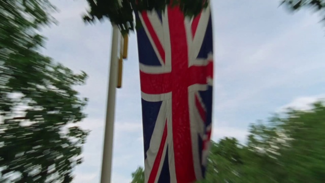 Video Reference: Flag, Pole, Tree, Banner