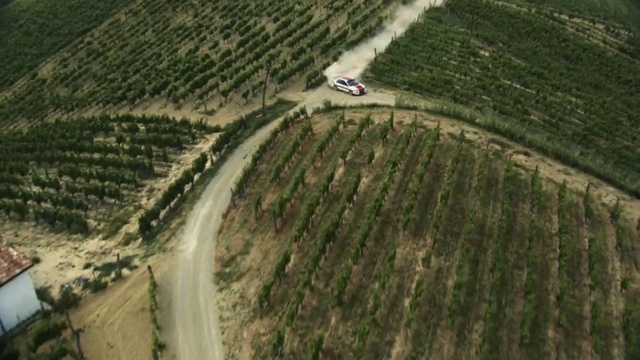 Video Reference: Field, Aerial photography, Land lot, World rally championship, Grass, Landscape, Grass family, Birds-eye view, Photography, Rural area