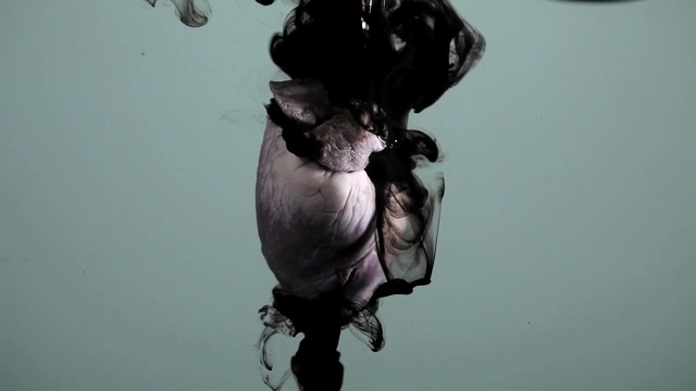 Video Reference: art, water