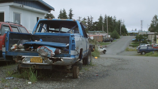 Video Reference: car, vehicle, motor vehicle, mode of transport, transport, automotive exterior, off roading, van, truck, tree