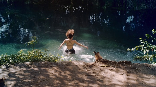 Video Reference: Water, Nature, Fun, Tree, Summer, River, Leisure, Sunlight, Photography, Vacation