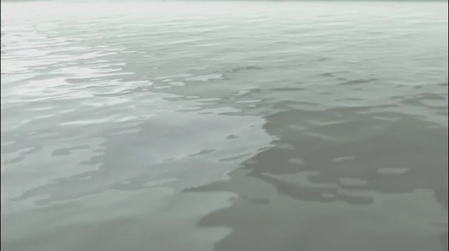 Video Reference: water, sea, wind wave, wave, ocean, shore, geological phenomenon, sky, horizon, ice