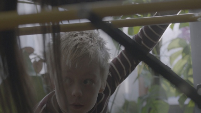 Video Reference: Face, Eye, Branch, Tree, Child, Window, Adaptation, Photography, Plant, Fawn