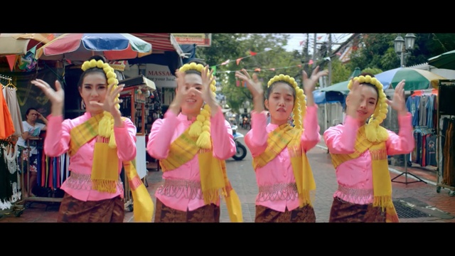Video Reference: Event, Fun, Dance, Crowd, Festival, Leisure, Fête, Party, Dancer, Smile, Person