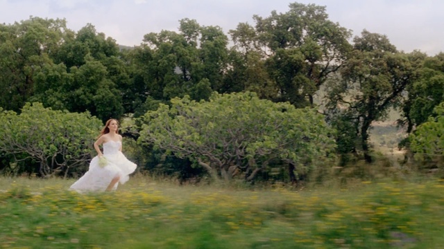 Video Reference: nature reserve, ecosystem, tree, wetland, bank, water, grass, plant, woodland, landscape