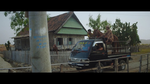 Video Reference: car, transport, mode of transport, vehicle, motor vehicle, tree, road, village, house, family car