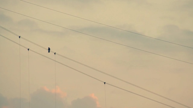 Video Reference: sky, cloud, overhead power line, atmosphere, electricity, line, morning, daytime, electrical supply, meteorological phenomenon