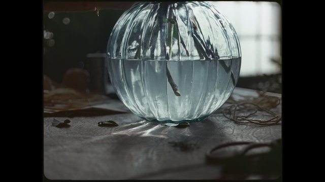Video Reference: Still life photography, Water, Transparent material, Sphere, Glass, Photography, Still life, Reflection, Ball, Stock photography