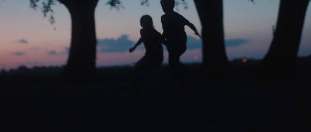 Video Reference: Photograph, Black, Sky, Silhouette, Shadow, Snapshot, Fun, Tree, Photography, Friendship