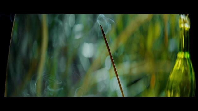 Video Reference: Nature, Green, Vegetation, Water, Insect, Dragonflies and damseflies, Macro photography, Plant stem, Grass family, Grass