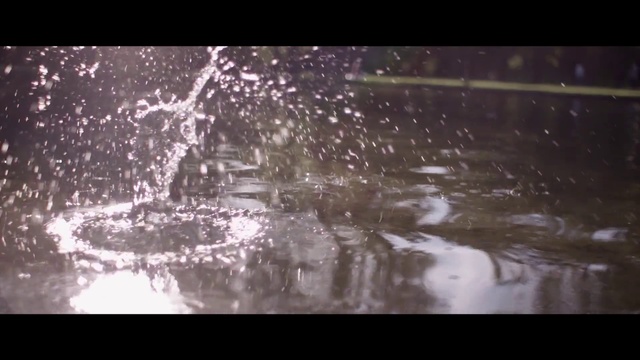 Video Reference: Water, Nature, Reflection, Atmosphere, Sunlight, Rain, Tree, Photography, Wildlife, Darkness