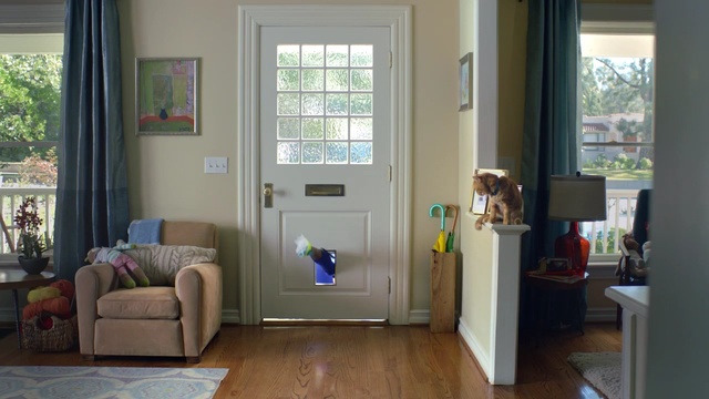 Video Reference: room, living room, property, home, door, window, interior design, floor, house, flooring, Person