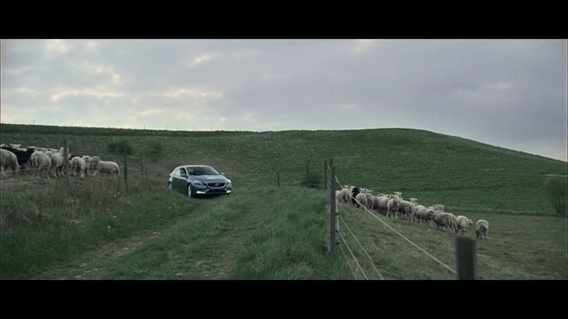 Video Reference: Grassland, Pasture, Highland, Vehicle, Grass, Rural area, Landscape, Car, Plain, Hill