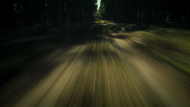 Video Reference: nature, green, ecosystem, forest, atmosphere, light, sunlight, grass, darkness, path