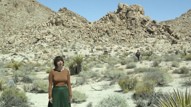 Video Reference: ecosystem, wilderness, badlands, wadi, landscape, rock, aeolian landform, shrubland, national park, flower
