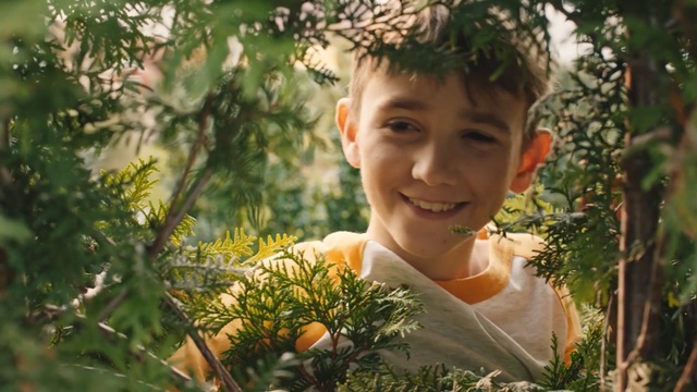 Video Reference: People in nature, Nature, Botany, Male, Sunlight, Plant, Smile, Happy, Flower, Spring