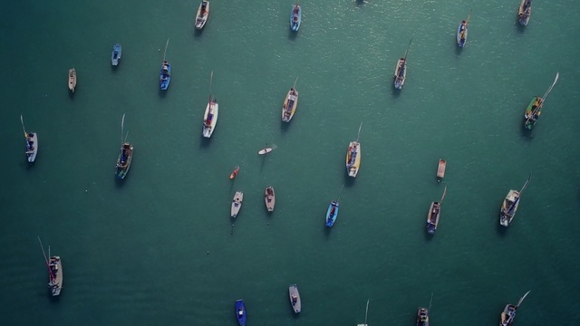 Video Reference: water, Person