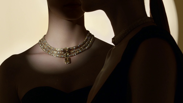 Video Reference: Necklace, Jewellery, Body jewelry, Fashion accessory, Neck, Chain, Metal, Fashion design, Silver, Mannequin