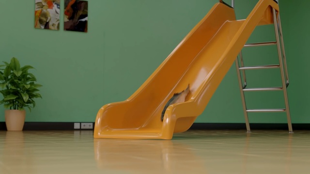 Video Reference: Playground slide, Yellow, Chute, Public space, Outdoor play equipment, Floor, Flooring, Stairs, Plastic, Furniture
