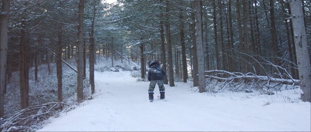 Video Reference: snow, winter, tree, path, freezing, trail, woody plant, woodland, forest, geological phenomenon, Person