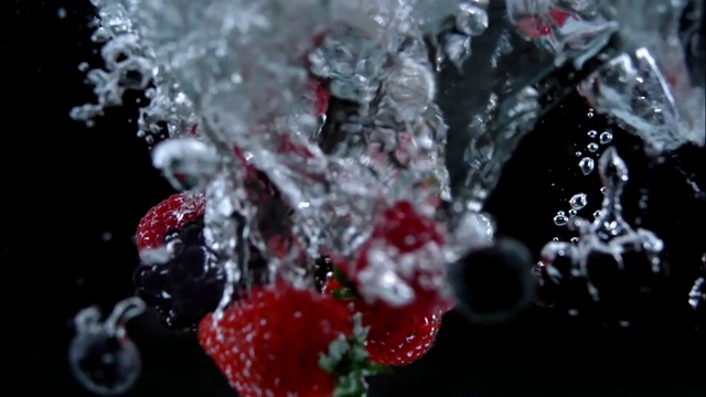 Video Reference: Water, Berry, Fruit, Plant, Frutti di bosco, Freezing, Macro photography, Blackberry, Cake, Indoor, Sitting, Table, Food, Piece, Plate, Close, Covered, Holding, Large, Snow, Sugar, Dog, Birthday, Hot, White, Red, Droplet, Christmas tree, Dessert