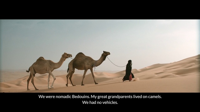 Video Reference: Camel, Camelid, Arabian camel, Desert, Natural environment, Mode of transport, Adaptation, Landscape, Ecoregion, Wildlife