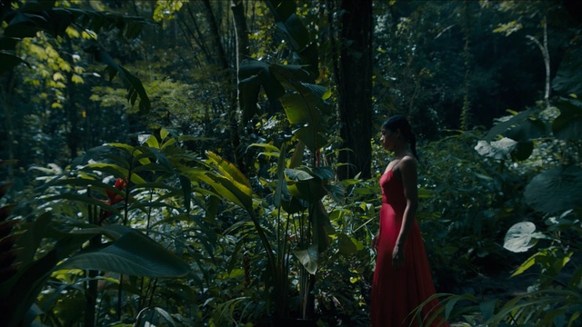 Video Reference: woman, girl, red dress, nature, green, vegetation, forest, flora, plant, ecosystem, leaf, jungle, rainforest