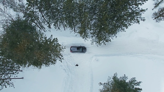 Video Reference: snow, winter, motor vehicle, tree, freezing, road, winter storm, blizzard, geological phenomenon, car