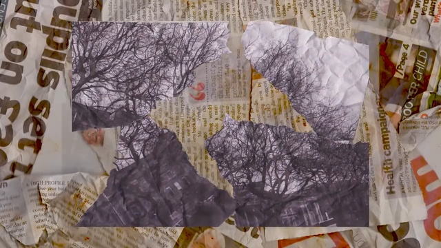 Video Reference: Quilting, Textile, Pattern, Art, Linens, Pattern, Paper, World, Quilt, Map