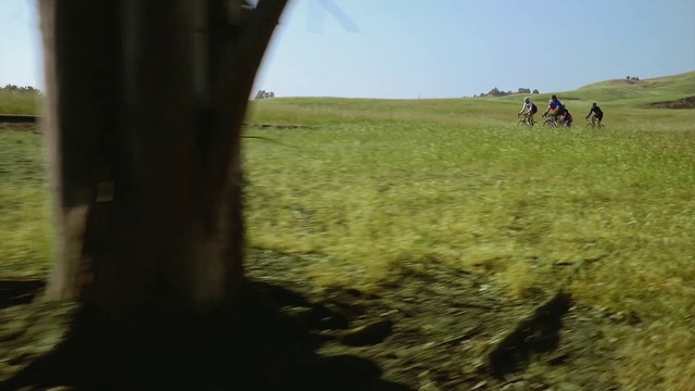 Video Reference: Pasture, Grassland, Natural environment, Plain, Field, Rural area, Ecoregion, Grass, Soil, Prairie