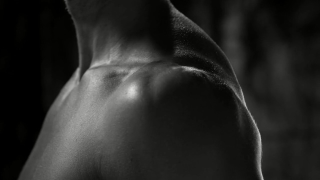 Video Reference: black, photograph, black and white, monochrome photography, nose, photography, close up, darkness, trunk, monochrome