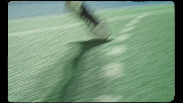Video Reference: Green, Grass, Leaf, Grass, Wood, Lawn, Plant, Tree, Photography, Hand