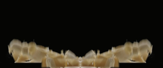 Video Reference: Jaw, Tooth, Mouth, Fashion accessory, Indoor, Cup, Table, Animal, Cake, Food, Sitting, Front, Glasses, Paper, Plate, Topped, Filled, Glass, White, Display, Invertebrate, Amphipod