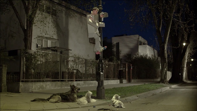 Video Reference: Street, Neighbourhood, Street light, Snout, Atmosphere, Night, Tree, Darkness, Midnight, Screenshot, Person