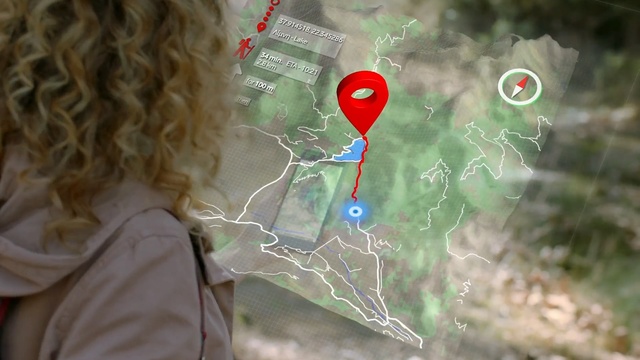 Video Reference: Tree, Photography, Plant