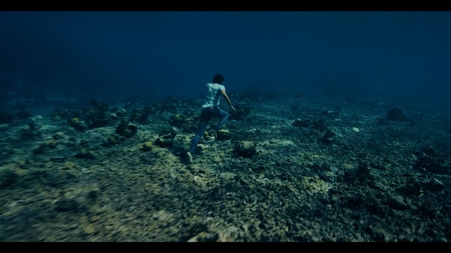 Video Reference: underwater, ecosystem, sea, reef, atmosphere, marine biology, water, coral reef, screenshot, organism