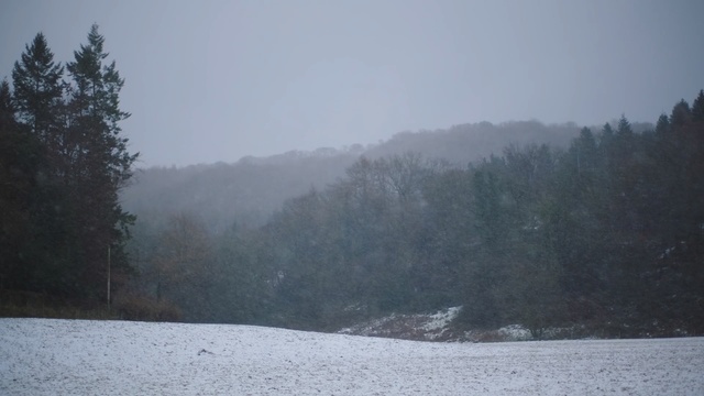 Video Reference: snow, winter, wilderness, tree, freezing, sky, mist, fog, geological phenomenon, hill station