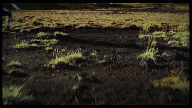 Video Reference: Green, Soil, Grass, Sky, Tree, Landscape, Plant, Photography, Wood, Rock