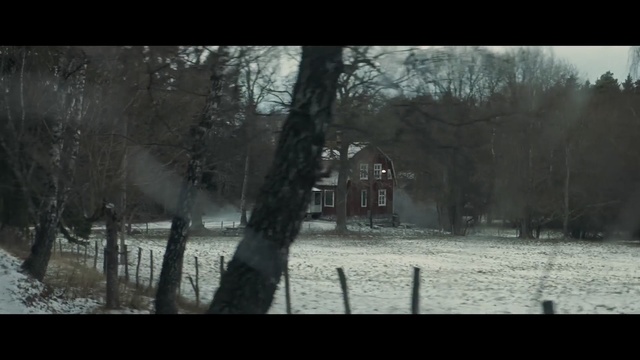 Video Reference: Snow, Nature, Winter, Tree, Woodland, Atmospheric phenomenon, Natural environment, Forest, Morning, Water
