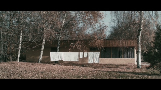 Video Reference: Tree, Property, House, Architecture, Land lot, Rural area, Landscape, Shed, Grass, Adaptation