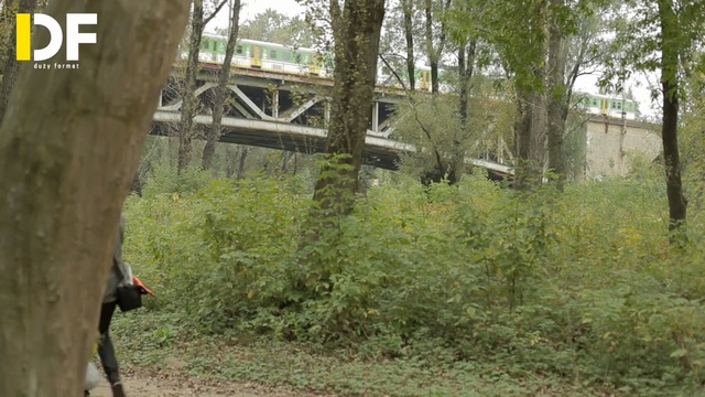 Video Reference: Tree, Woodland, Wildlife, Nature reserve, Natural environment, Forest, Biome, Woody plant, Zoo, Grass