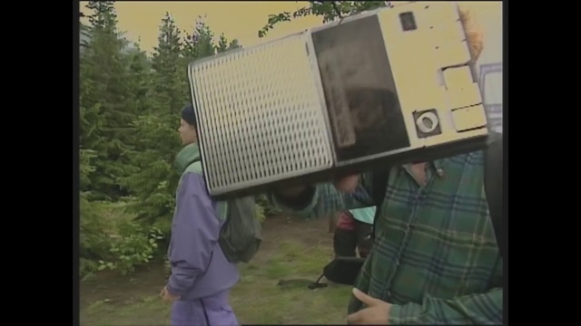 Video Reference: Photograph, Tree, Mode of transport, Snapshot, Photography, Leaf, Woody plant, Design, Rural area, Grass