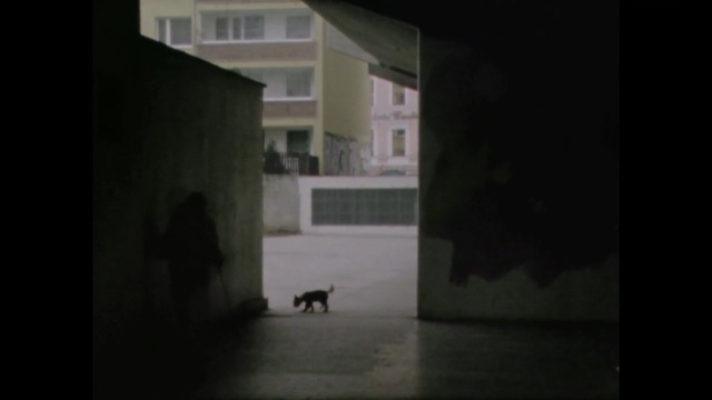 Video Reference: black, photograph, darkness, architecture, light, snapshot, wall, atmosphere, structure, shadow